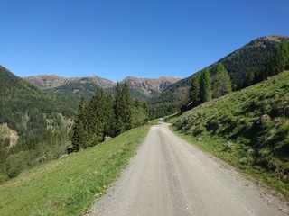 Fototapeta premium Forest Trail Into The Mountains Up To Kaninger Wolitzenhütte
