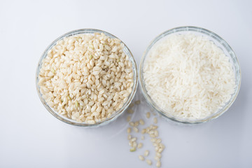 rice bowl