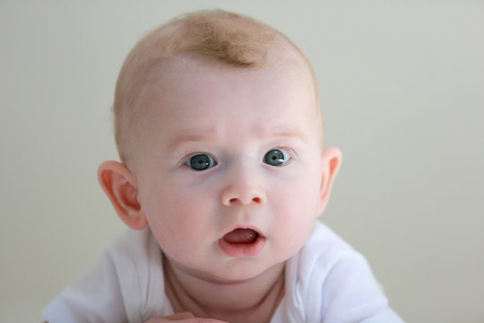 1 035 Best Etonne Images Stock Photos Vectors Adobe Stock