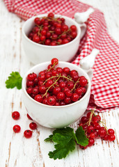 fresh red currant