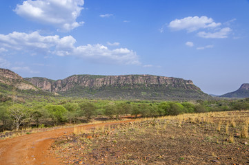 Fototapeta premium dry table land in Ranthambhore national park, India