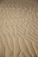 Sand texture