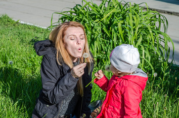 Fototapeta premium Young beautiful mother with adorable little daughter Baby girl with long hair Europeans in a meadow with grass and flowers, plucked a flower dandelion and blowing it