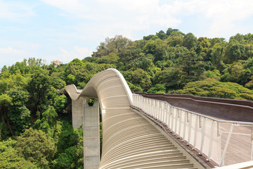 Henderson Waves bridge on Mount Faber rainforest, Singapore
