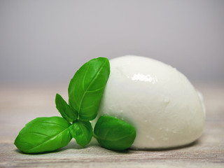 Mozzarella