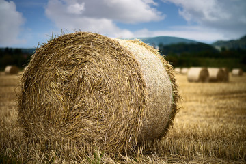 bale of straw