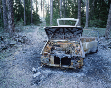 Damaged car in forest