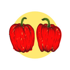 Vector engraving illustration detailed hand drawn bell peppers isolated on white background
