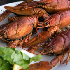 Fresh seafood with herb