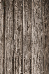 Obraz premium Background