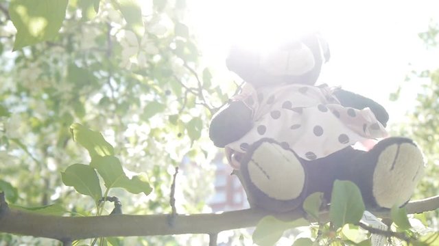 Toy bear on branches