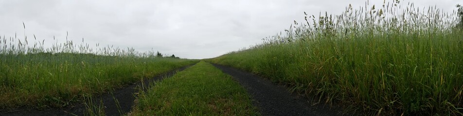 Panorama, droga, zboża © michalsen