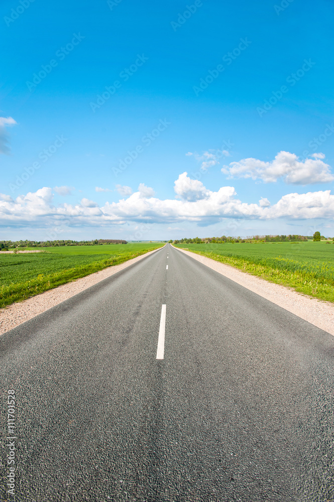 Wall mural Asphalt road in green fields on blue cloudy sky background