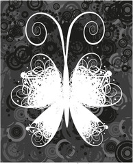 Black and white butterfly