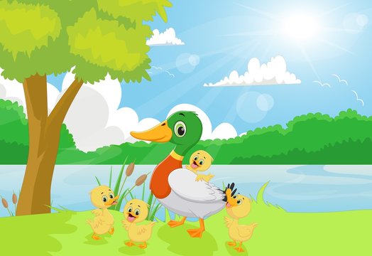 Cartoon duck family on the riverbank