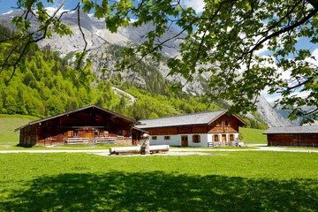Engalmen am großen Ahornboden in Tirol