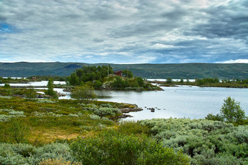 Hardangervidda Natur Norwegen
