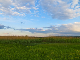 Fototapeta na wymiar Wide green meadow
