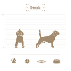 Beagle on the dimensional scale. Items for dogs. Face and profile. Vector illustration.