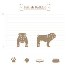 British Bulldog on the dimensional scale. Items for dogs. Face and profile. Vector illustration.