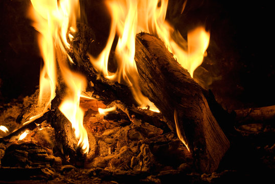 Close-up of campfire burning at night