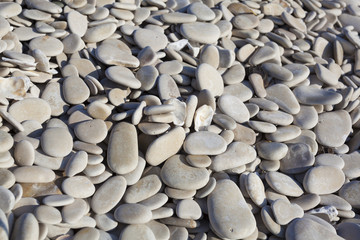 Stones in the beach of L'Humeau, Charente-Maritime, France