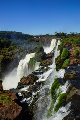 Fototapeta na wymiar Brazilian side of Iguassu Falls