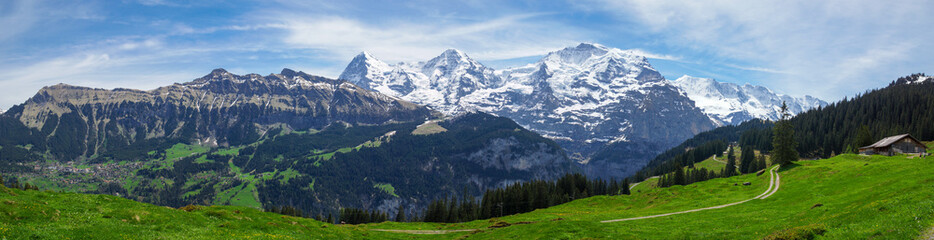 Swiss Alps panorama © scotttnz