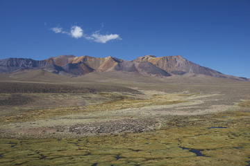 The altiplano, around 4000 metres above sea level, in Lauca National Park, Chile. In the foreground is a wetland area known locally as a bofedal, beyond are the colourful slopes of an extinct volcano.