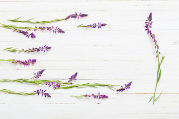 flowers on white wooden background