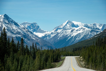 Canada, Rocky Mountains: Lonely street of banff national park with beautiful snowy mountains in the background and lined with pines