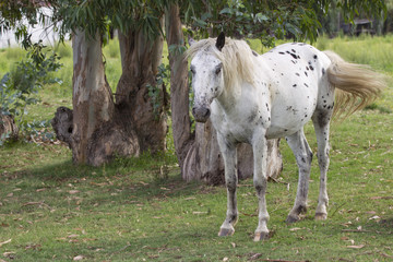 Obraz premium finding some shade