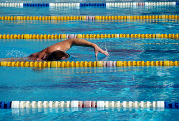 Swimmer in the swimming pool