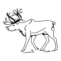 Grey deer (contour) 0