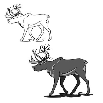 Grey deer (contour)