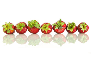 Strawberries laid in a row