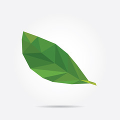 Green Leaf. Polygonal Green Leaf in Vector