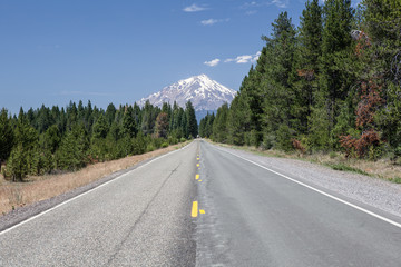 Mount Hood and Road Through Oregon Forest