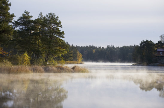 Scenic view of lake