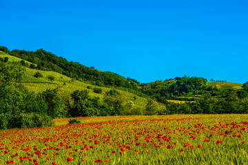Colline colorate