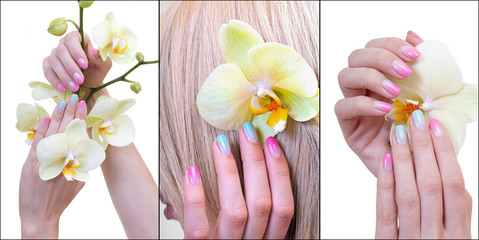 Set of the three picture beautiful female hands with multicolored manicure and Orchid isolated on white background