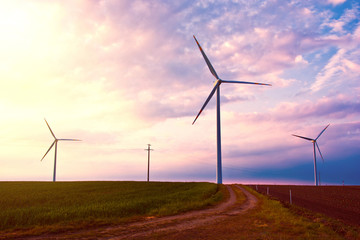 Windmills on the field at sunset in summer.