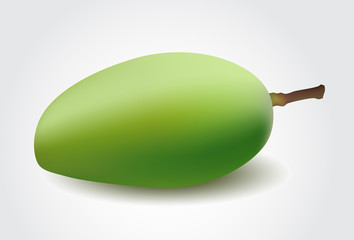 Green mango isolated on a white background