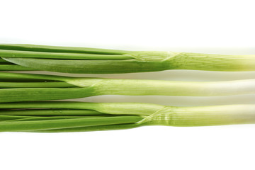 Fresh green onion on white background