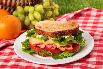Summer picnic toasted ham and cheese sandwich