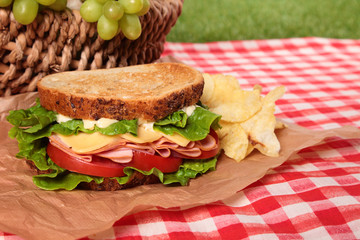Picnic basket toasted ham and cheese sandwich