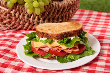 Picnic basket toasted ham and cheese sandwich