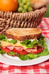 Picnic basket toasted ham and cheese sandwich, close up