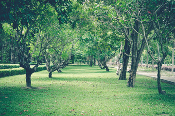  Beauty nature background