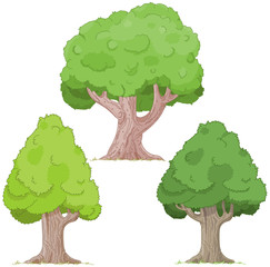 Tree Set